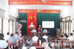 Khảo sát việc sắp xếp các cơ sở giáo dục công lập tại phường Hạc Thành
