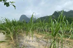 Triển khai các biện pháp ứng phó với mưa lớn, lốc, sét, mưa đá, gió mạnh
