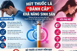 Thuốc lá đe dọa khả năng sinh sản của cả nam và nữ