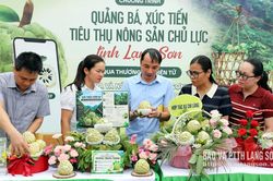 Học để làm chủ kỹ năng
