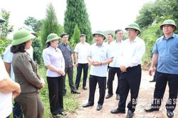 Kiểm tra việc triển khai thực hiện Nghị quyết 24-NQ/TU của Ban Thường vụ Tỉnh uỷ