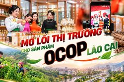 Mở lối thị trường cho sản phẩm OCOP Lào Cai