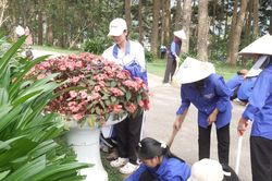 Phường Cam Ly - Đà Lạt đồng bộ chỉnh trang đô thị, hướng đến Festival Hoa 2026