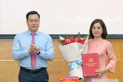 Đảng ủy các cơ quan Đảng tỉnh công bố Quyết định thành lập Ban Xây dựng Đảng và các Quyết định về công tác cán bộ