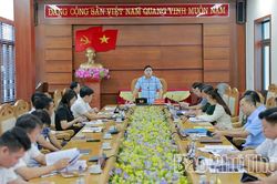 Đoàn đại biểu Quốc hội tỉnh giám sát việc thực hiện chính sách, pháp luật trong quản lý nhà nước về đô thị