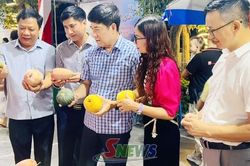 Chuyển tư duy từ 'sản xuất nông nghiệp' sang 'kinh tế nông nghiệp'