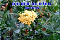 Dự báo thời tiết toàn tỉnh Sơn La ngày 10/10/2026