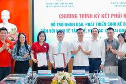 Phối hợp hỗ trợ phát triển sinh kế bền vững gắn với kinh tế tập thể