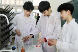 Siết chấm thi nghiên cứu khoa học cấp quốc gia của học sinh