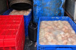 Phú Thọ: Phát hiện ô tô chở hơn 800kg lòng lợn bốc mùi hôi thối