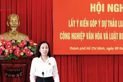 TP. Hồ Chí Minh góp ý dự thảo Luật Bưu chính (sửa đổi)