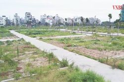 Đất bỏ hoang bị đánh thuế: Giới đầu cơ không lo thì ai lo?