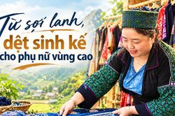 Sợi lanh 'dệt sinh kế' cho phụ nữ vùng cao