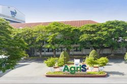 Mẹ Chủ tịch AgriS và doanh nghiệp liên quan bán gần 90 triệu cổ phiếu SBT