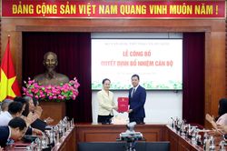 Bộ Văn hóa, Thể thao và Du lịch điều động, bổ nhiệm 24 Cục trưởng, Phó Cục trưởng