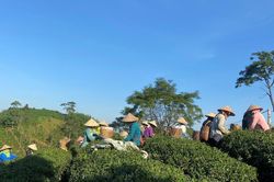 Dự báo thời tiết miền Bắc có nơi trời rét
