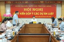 Lấy ý kiến các dự án luật lĩnh vực văn hóa - xã hội, môi trường trình Quốc hội khóa XVI