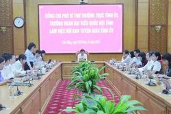 Phó Bí thư Thường trực Tỉnh ủy Bế Thanh Tịnh: Đổi mới tư duy, phương pháp, nâng cao hiệu quả công tác tuyên giáo