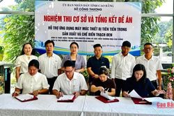 Hỗ trợ ứng dụng máy móc, thiết bị tiên tiến trong sản xuất và chế biến thạch đen tại xã Thạch An