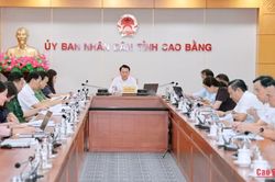 Họp trực tuyến toàn quốc đánh giá tiến độ sắp xếp các cơ sở giáo dục
