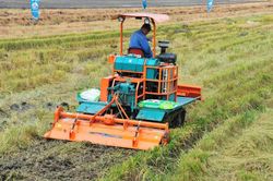 Giúp nông dân tiếp cận kỹ thuật xử lý rơm rạ hiệu quả