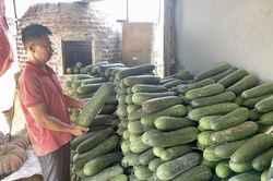 Làm giàu từ mô hình kinh tế tổng hợp của nông dân Phùng Văn Sướng