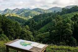 Lâm Đồng đôn đốc hoàn thiện phương án quản lý rừng bền vững