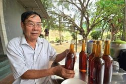 Làm giàu nhờ mô hình nuôi ong lấy mật của 'lão nông' xứ Nghệ