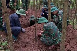 Phát hiện thêm 5 hài cốt liệt sĩ trong khu rừng tràm ở Quảng Trị