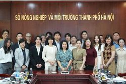 Hà Nội - Fukuoka tăng cường hợp tác, hướng tới xã hội không carbon