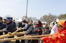 Công dân Thủ đô ưu tú với tâm huyết gìn giữ Kéo co ngồi