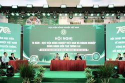 Gắn kết nhà trường - doanh nghiệp: Đào tạo nhân lực từ nhu cầu thực tiễn
