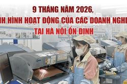 9 tháng năm 2026, hoạt động các doanh nghiệp tại Hà Nội ổn định
