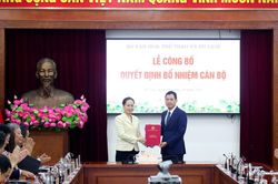 Bộ VHTT&DL điều động, bổ nhiệm 24 cán bộ cấp Cục/Vụ