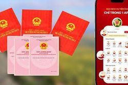 Sai tên người sử dụng đất, người dân Hà Nội có thể đính chính sổ đỏ online