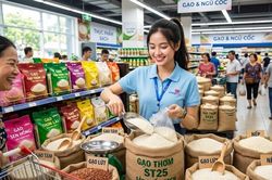 Giá lúa gạo hôm nay 10.10.2026: Thị trường tiếp tục đi ngang