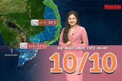 [Video] Dự báo thời tiết ngày 10/10/2026: Nguy cơ ngập úng tại Trung Bộ do mưa lớn kéo dài, đồng bằng Bắc Bộ giảm nắng tăng mưa