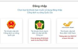 Phát triển dịch vụ số gắn với nhu cầu thực tiễn