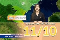 [Video] Dự báo thời tiết đêm nay và ngày mai 11/10/2026: Mưa giảm dần ở Bắc Bộ và Trung Bộ, Nam Bộ đề phòng mưa dông