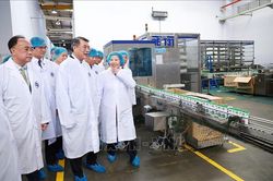 Thủ tướng Lê Minh Hưng thăm dự án Angkormilk của Vinamilk tại Campuchia