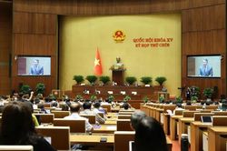 Phối hợp xử lý những vấn đề pháp lý liên ngành