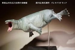 Paleoparadoxia: Loài thú móng guốc khổng lồ kỳ dị sống dưới đáy biển