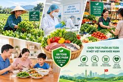 Tái thiết lập 'mâm cơm' bằng tư duy chuỗi giá trị