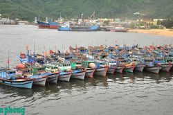 Thành phố Đà Nẵng tăng cường quản lý tàu cá bằng dữ liệu số