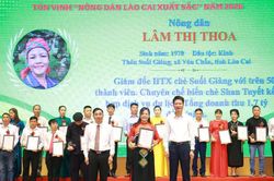 Lào Cai tôn vinh 96 nông dân xuất sắc năm 2026