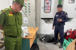 Phát hiện động vật hoang dã xuất hiện tại khu đô thị ở Hà Nội
