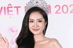 Đương kim hoa hậu Hà Trúc Linh rạng ngời trên thảm đỏ chung khảo