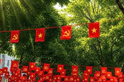 Phố phường Hà Nội rực rỡ cờ hoa chào mừng Ngày Giải phóng Thủ đô
