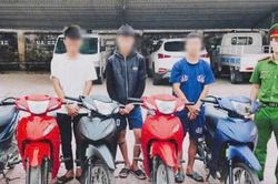 Bỏ chạy khi thấy công an, nhóm trộm xe máy liên tỉnh bị tóm gọn
