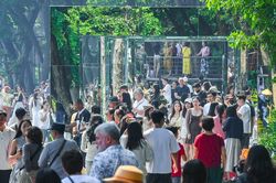 Người Hà Nội đổ về trải nghiệm cầu cạn, 'đường hầm thị giác' bên hồ Hoàn Kiếm